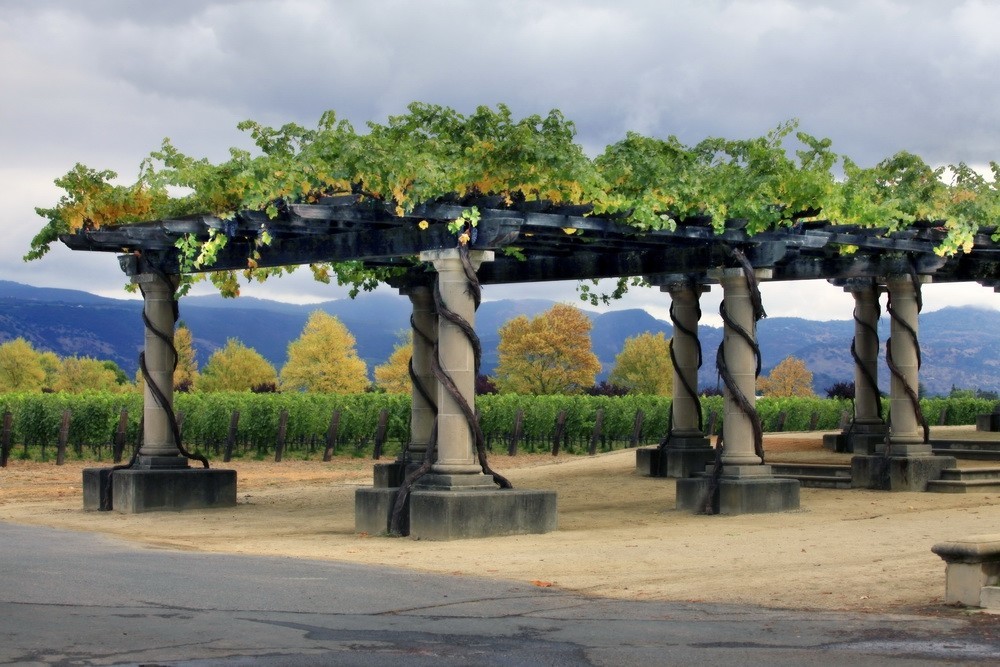 limo tours napa valley wineries