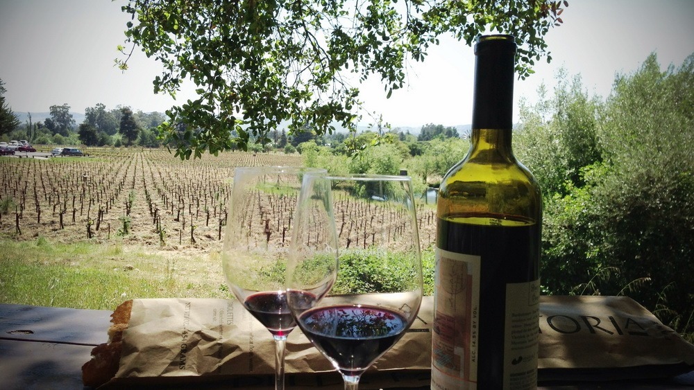 sonoma valley wine tasting tours